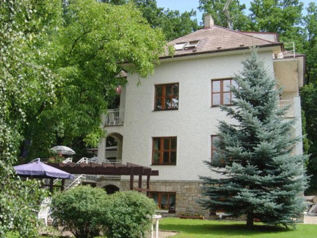 Hotel Villa Conti بايسك المظهر الخارجي الصورة